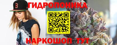 трава Аргун