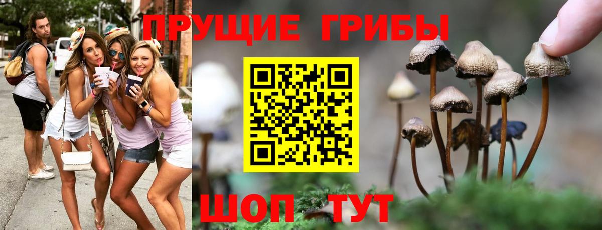 Балахна  Псилоцибиновые грибы ЛСД  Вход с VPN 