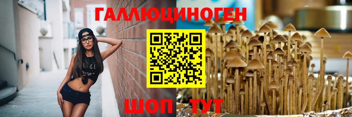 Псилоцибиновые грибы мухоморы Балахна